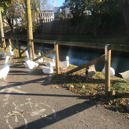 Cosy Flat Apartamento *