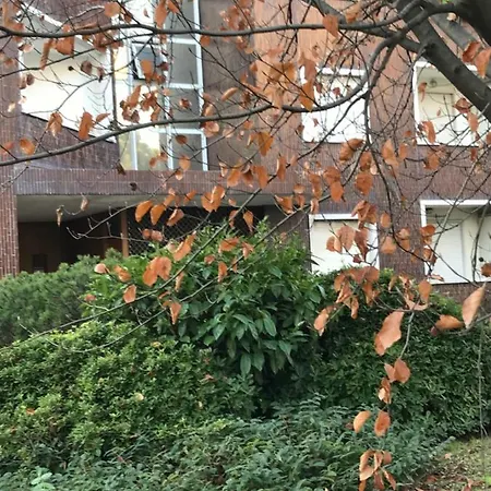 Cosy Flat Daire Treviso