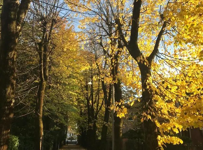 Cosy Flat Daire Treviso