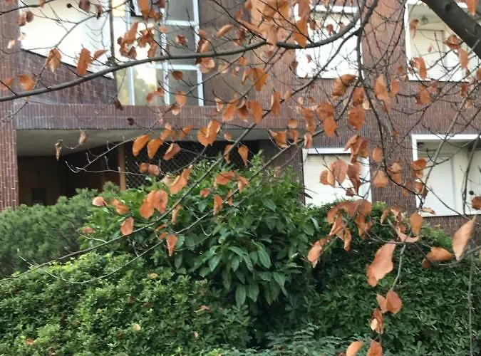 Cosy Flat Daire Treviso